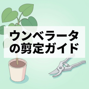 umbellata-pruning