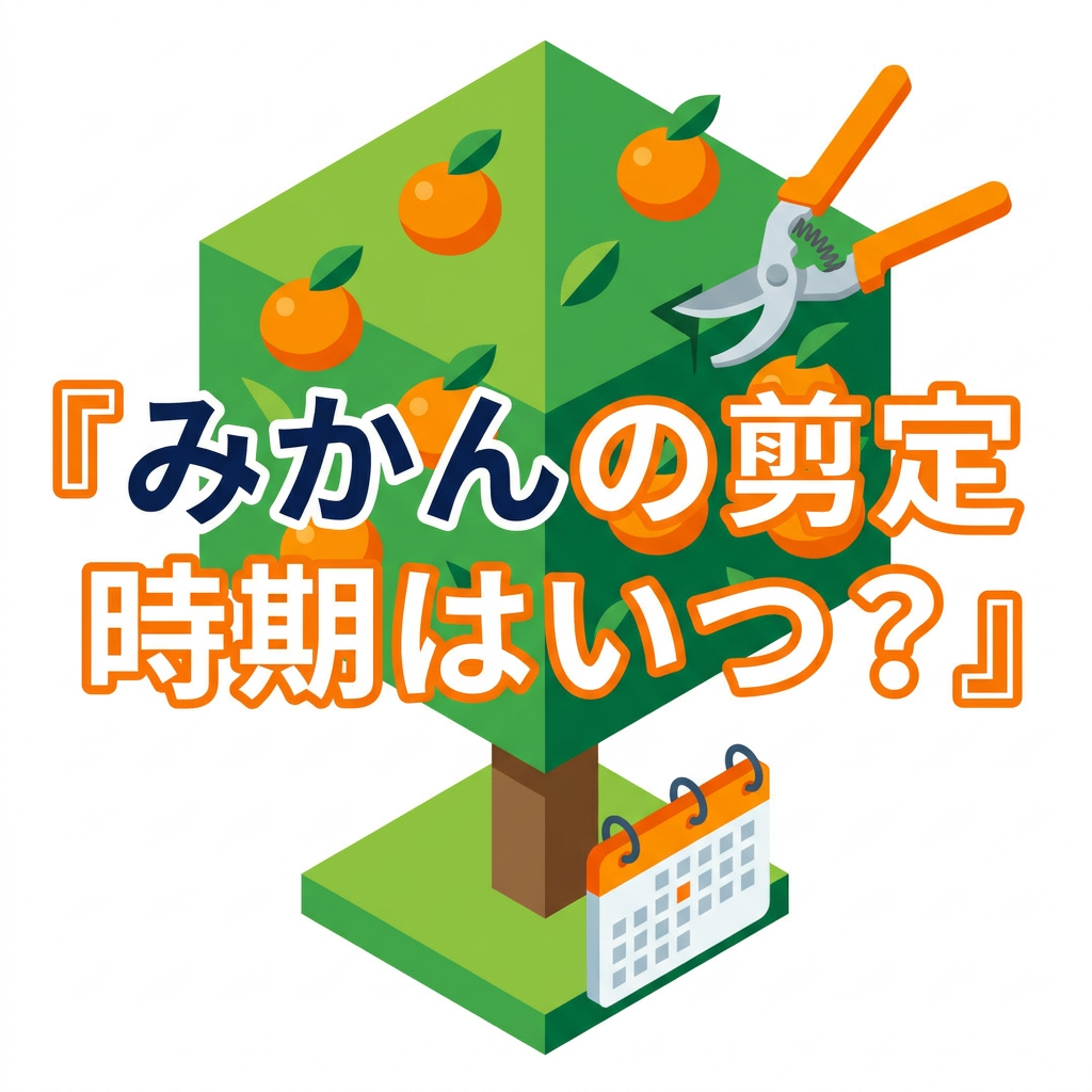 mikan-sentei-jiki