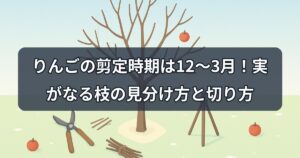 apple-tree-pruning