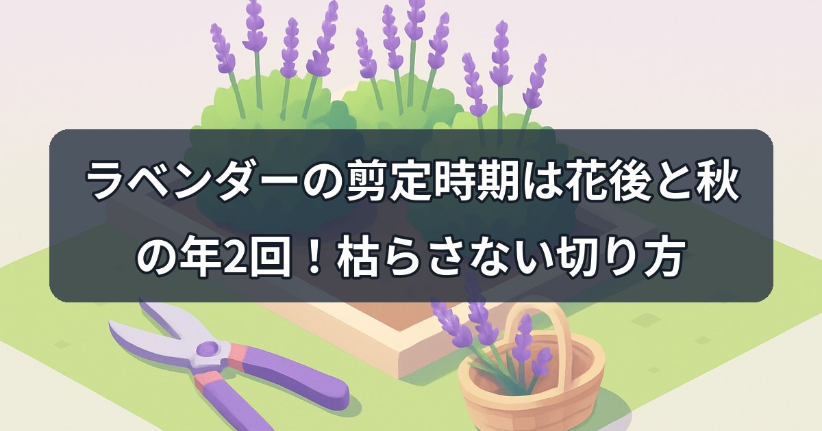 lavender-pruning-season